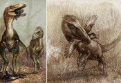 В Китае обнаружен пернатый, но нелетающий динозавр с остатками трапезы